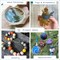 Extra Large Needle Felting Starter Kit Includes 20 Colors Natural Premium Wool, 50 Needles and Tools, Text and Video Guide. Craft Kit for Beginners, Kids and Adults